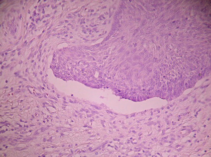 Fig. 8 - <div style=